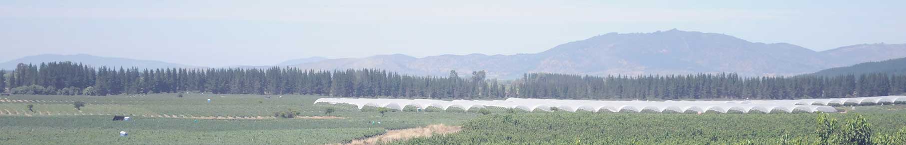 Certificacion Agroplus